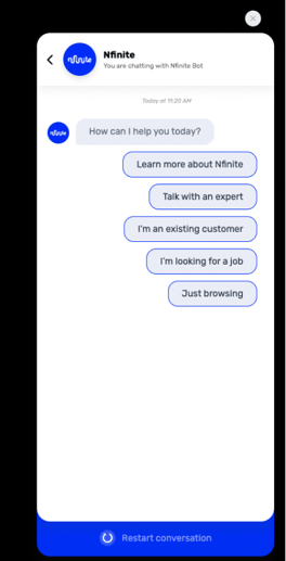 Exemple de bon chatbot avec Nfinite