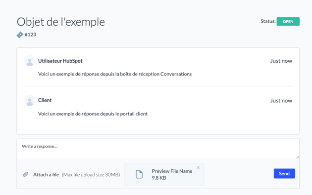 Capture d'écran de la personnalisation du design sur le portail client sur HubSpot