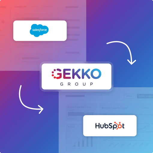 miniature-gekko-group