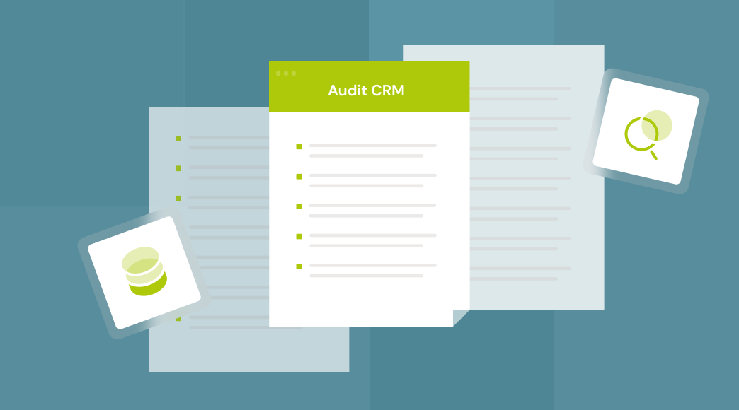 visuel-audit-crm