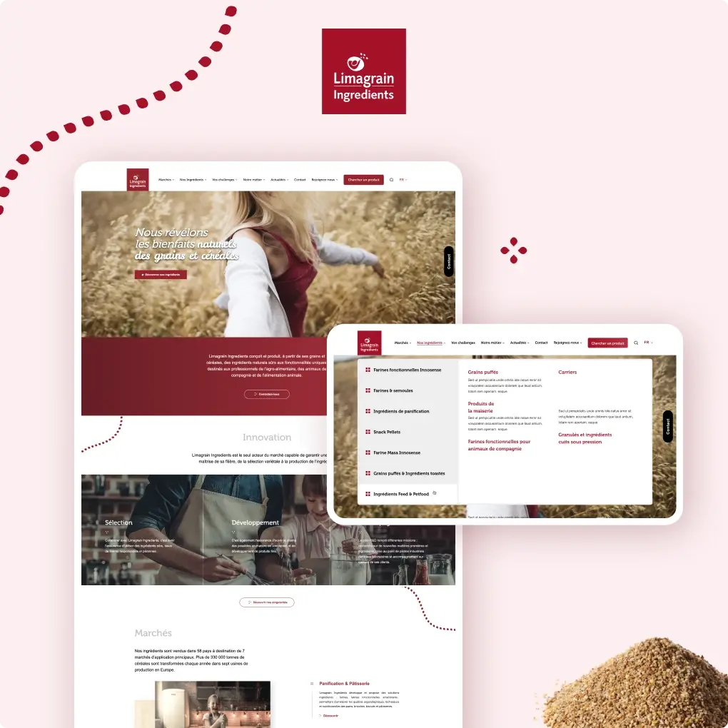 Case study Limagrain Ingredients for an optimized UX